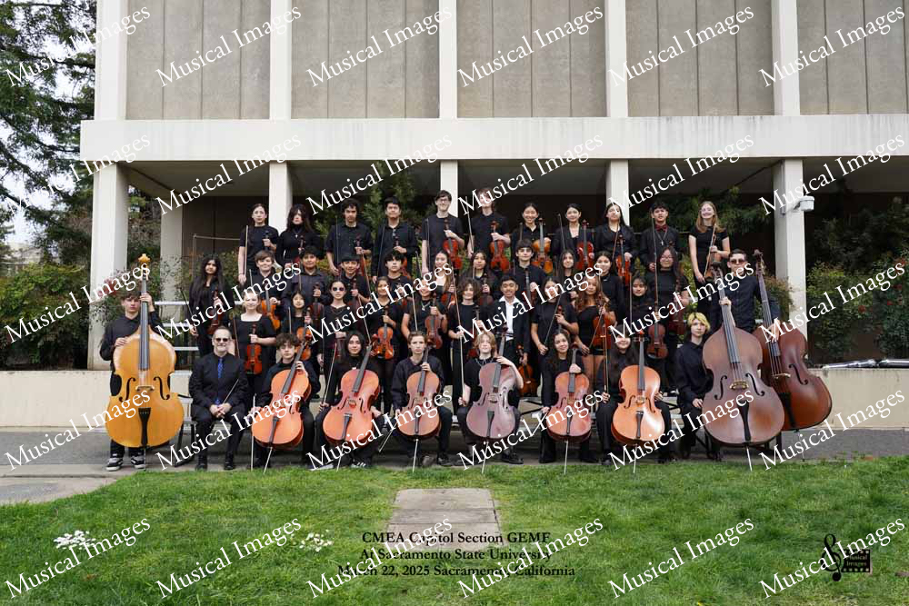 Musical Images